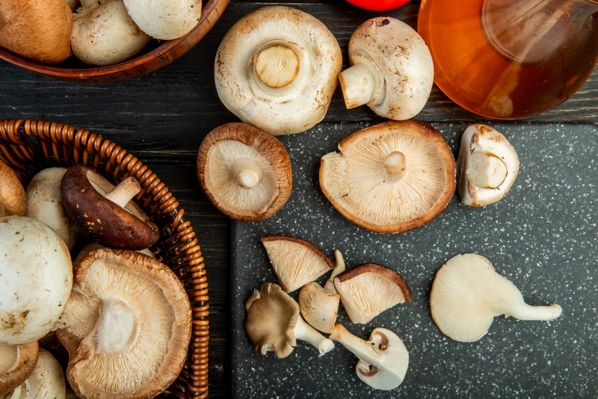 adaptogenic mushrooms