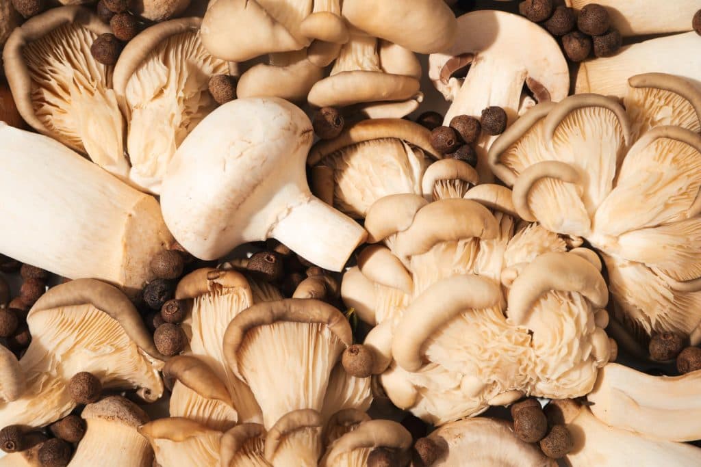 adaptogenic mushrooms side effects