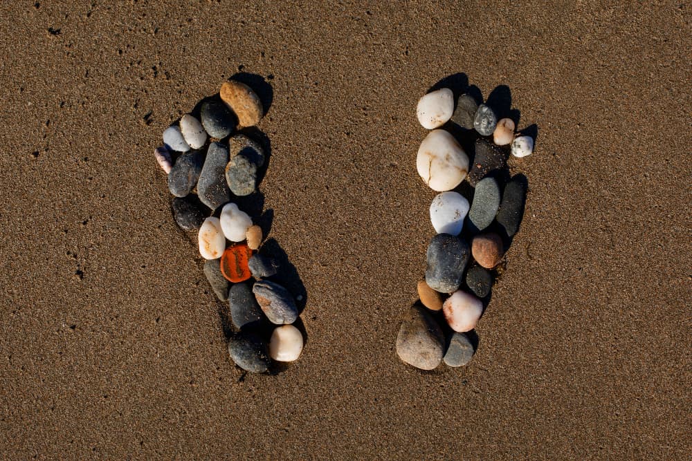 Meridians of the body